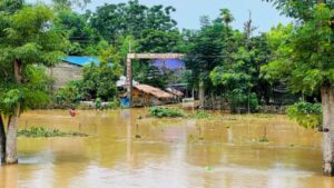 अविरल वर्षाका कारण रत्ननगरमा १४५ घर डुबानमा