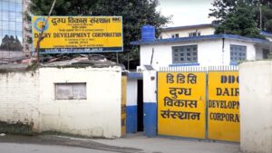 दैनिक डेढ लाख लिटर दूध सङ्कलन गर्ने डिडिसीको लक्ष्य